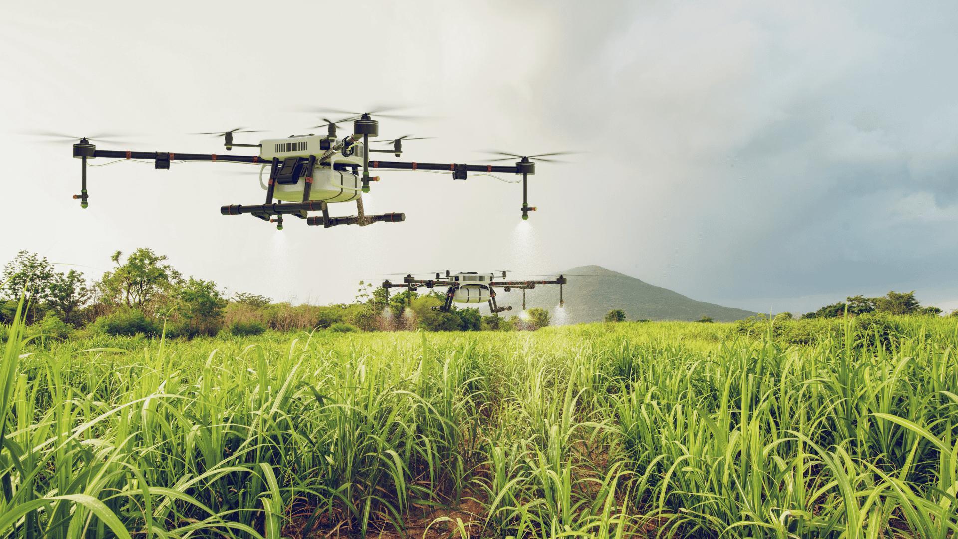 Agri-Tech Solutions – Empowering the Future of Farming